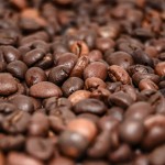 Kaffee Bohnen Sorten - Es gibt viele und doch werden hauptsächlich nur zwei Sorten weltweit gehandelt. Erfahre welche Kaffee Sorten es sind.