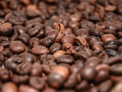 Alles was du über Kaffeebohnen wissen musst