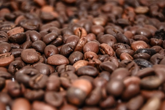Alles was du über Kaffeebohnen wissen musst